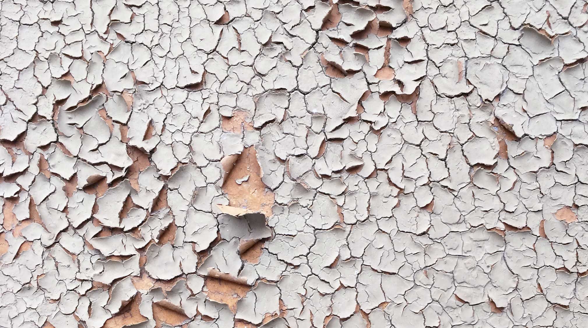 Dry plaster peeling off a wall.