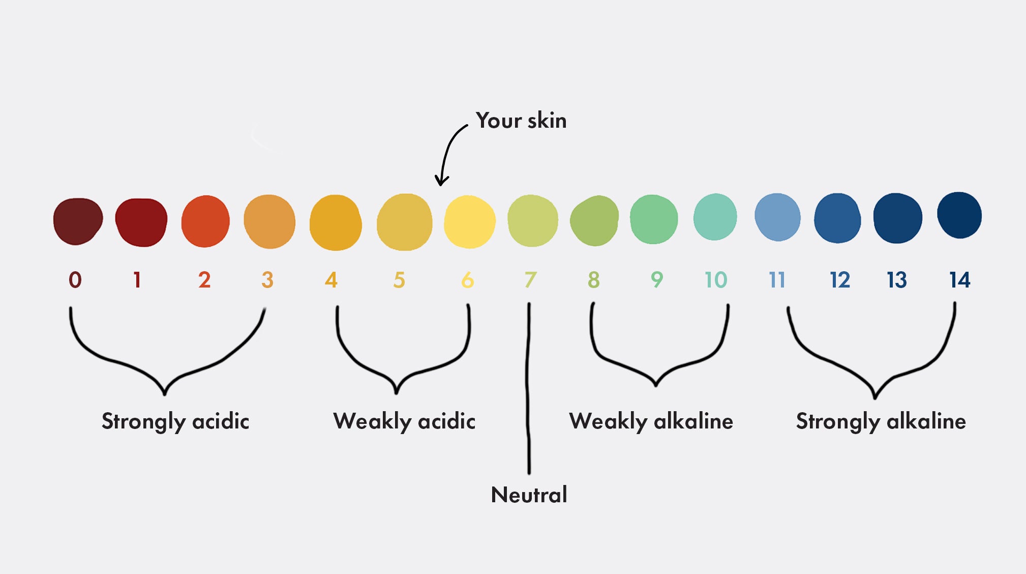 pH scale from 1-14. Less than 7 means acidic, above 7 is alkaline, 7 is neutral, skin's optimal ph is 5.5